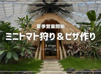 シンビオシスファームのトマト狩り